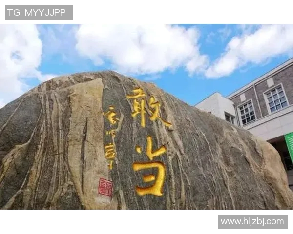 陈芳专访：深度剖析排球运动的成功秘诀与未来发展方向MBA